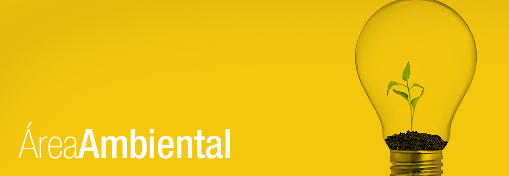 AMBIENTAL